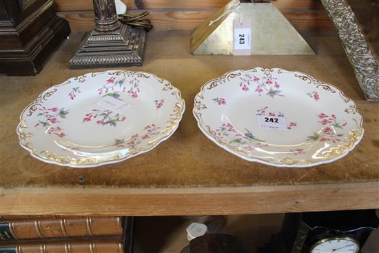 Pair Minton plates(-)